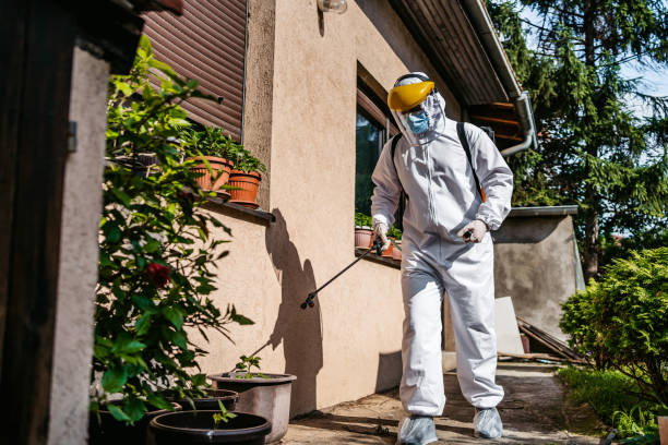 Best Mosquito Control Services  in Lathrop, MO