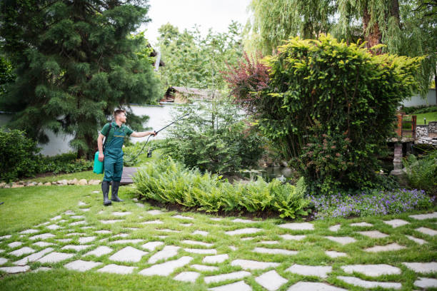 Best Mosquito Control Services  in Lathrop, MO