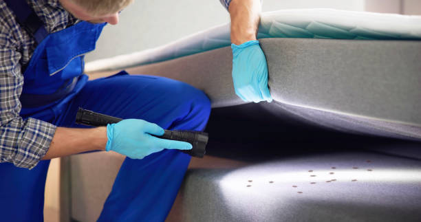 Best Commercial Pest Control Services  in Lathrop, MO