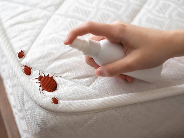 Best Pest Control for Businesses  in Lathrop, MO