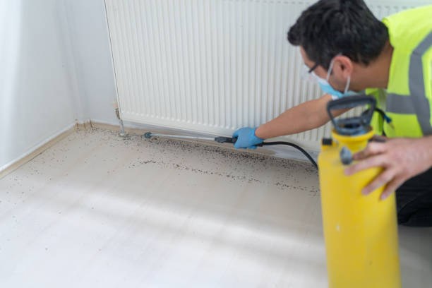 Best Best Pest Control Companies  in Lathrop, MO