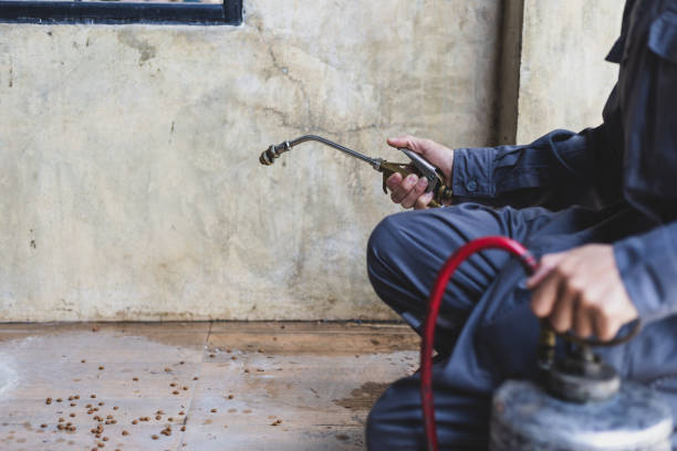Reliable Lathrop, MO Pest Control Solutions